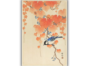 Reproduktsioon Suurtihane paulownia oksal (Ohara Koson), 40x60 cm hind ja info | Seinapildid | kaup24.ee