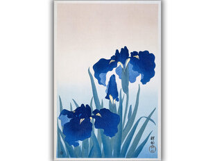 Reproduktsioon Iirise lilled (Ohara Koson), 60x80 cm hind ja info | Seinapildid | kaup24.ee