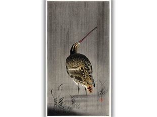 Reproduktsioon Snipe in the rain (Ohara Koson), 100x60 cm hind ja info | Seinapildid | kaup24.ee