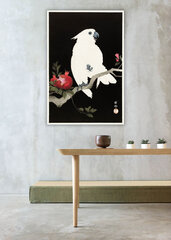 Reproduktsioon Kakaduu ja granaatõun (Ohara Koson) reprodutseerimine, 100x70 cm hind ja info | Seinapildid | kaup24.ee