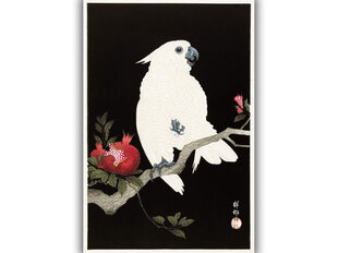 Reproduktsioon Kakaduu ja granaatõun (Ohara Koson) 60x80 cm цена и информация | Картины, живопись | kaup24.ee