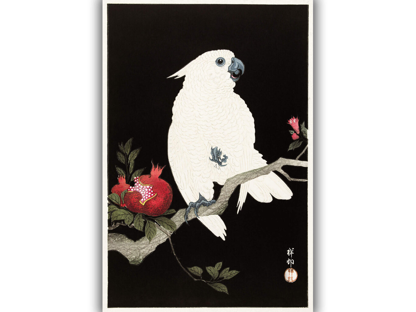 Reproduktsioon Kakaduu ja granaatõun (Ohara Koson), 40x60 cm цена и информация | Seinapildid | kaup24.ee