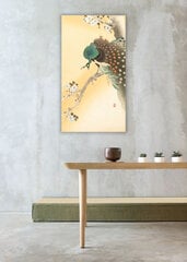 Reproduktsioon Paabulind kirsiõitel (Ohara Koson), 80x50 cm hind ja info | Seinapildid | kaup24.ee