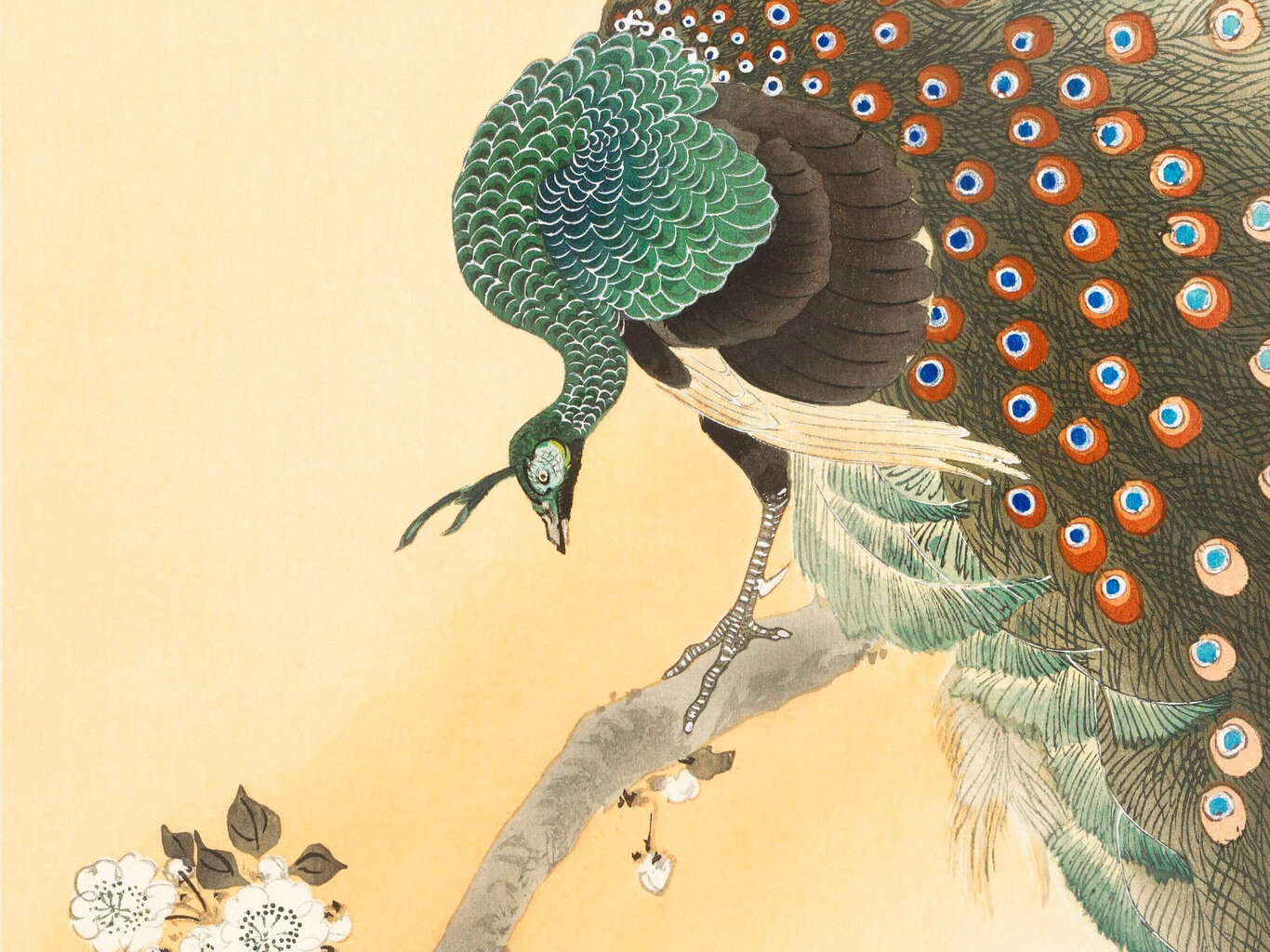 Reproduktsioon Paabulind kirsiõitel (Ohara Koson), 60x30 cm цена и информация | Seinapildid | kaup24.ee