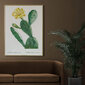 Reproduktsioon Vintage botaanika: Opuntia, 60x80 cm цена и информация | Seinapildid | kaup24.ee