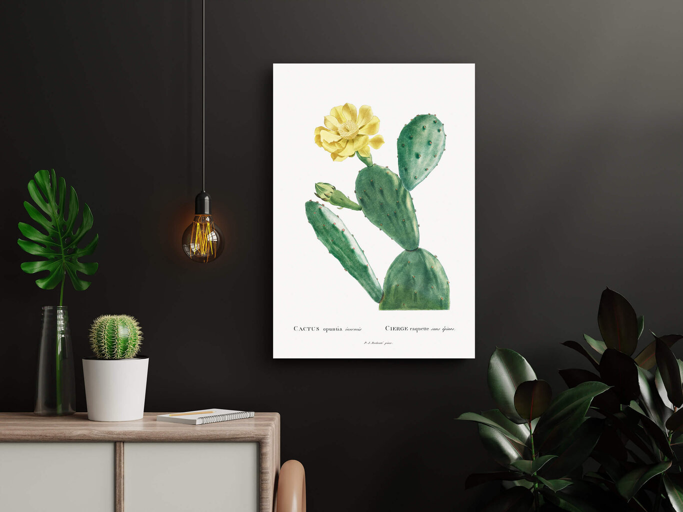 Reproduktsioon Vintage botaanika: Opuntia, 60x80 cm цена и информация | Seinapildid | kaup24.ee
