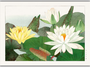 Reproduktsioon Vintage botaanika: Lootos, 100x70 cm hind ja info | Seinapildid | kaup24.ee