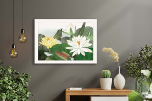 Reproduktsioon Vintage botaanika: Lootos, 40x60 cm цена и информация | Картины, живопись | kaup24.ee