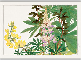 Reproduktsioon Vintage botaanika: Lupiinid, 100x70 cm hind ja info | Seinapildid | kaup24.ee