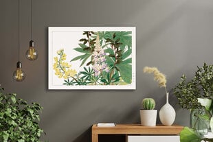 Reproduktsioon Vintage botaanika: Lupiinid, 60 x 80 cm hind ja info | Seinapildid | kaup24.ee