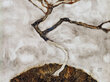 Reproduktsioon Väike puu hilissügisel (Egon Schiele), 40x35 cm цена и информация | Seinapildid | kaup24.ee