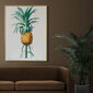 Reproduktsioon Vintage botaanika: Ananass, 30x40 cm hind ja info | Seinapildid | kaup24.ee