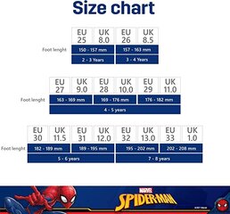 Laste kummikud Leomil Spider Man, sinine, suurus 25 hind ja info | Laste kummikud | kaup24.ee