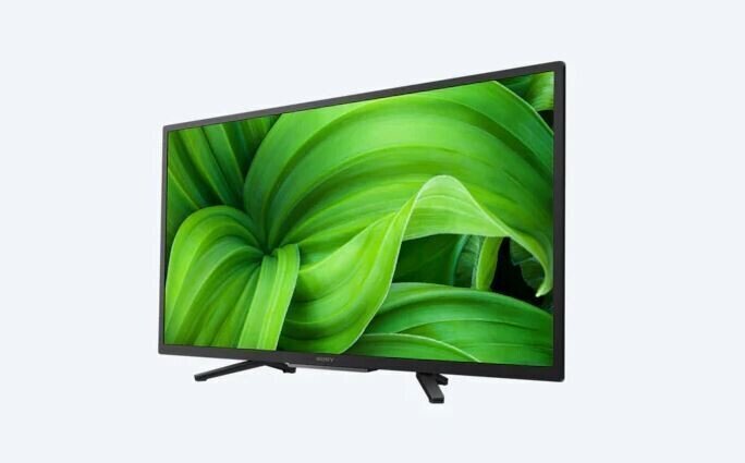 Sony Android LED TV KD32W800P1AEP цена и информация | Telerid | kaup24.ee