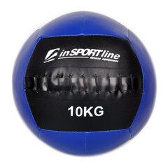 Мяч для силовых тренировок inSPORTline Walbal 10 кг цена и информация | Медболы | kaup24.ee