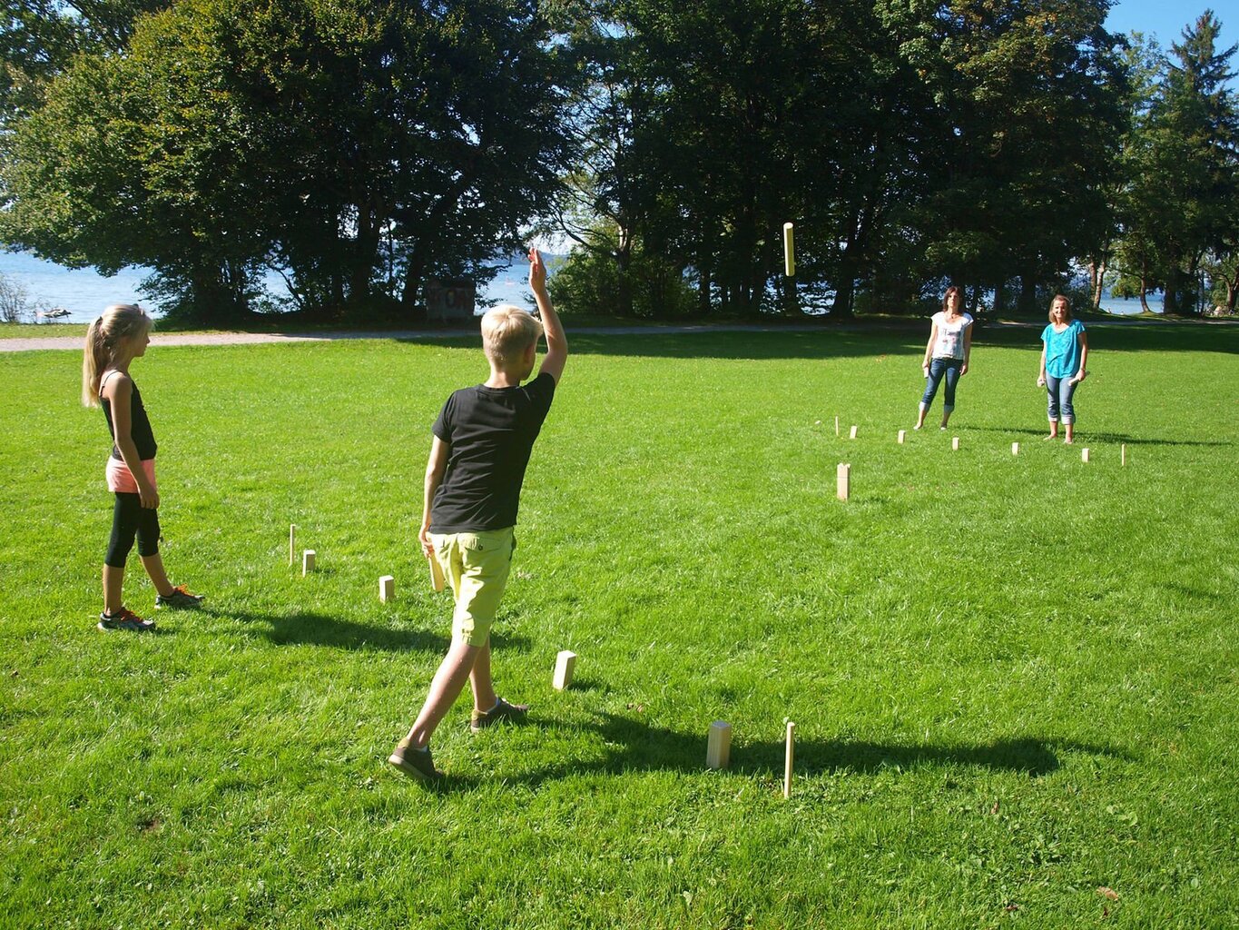 Mäng Schildkrot Kubb hind ja info | Vabaõhumängud | kaup24.ee