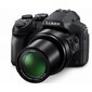 Panasonic DMC-FZ300, Juoda цена и информация | Fotoaparaadid | kaup24.ee