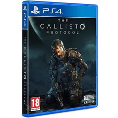 Игра The Callisto Protocol PS4 цена и информация | Компьютерные игры | kaup24.ee