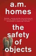 Safety Of Objects 2nd edition цена и информация | Фантастика, фэнтези | kaup24.ee