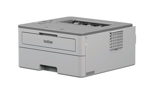 Printer Brother HL-B2080DW цена и информация | Принтеры | kaup24.ee