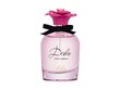 Tualettvesi Dolce&Gabbana Ladies Dolce Lily naistele EDT, 75 ml hind ja info | Naiste parfüümid | kaup24.ee