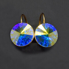 Naiste kõrvarõngad DiamondSky Clarice II koos Swarovski kristallidega hind ja info | Kõrvarõngad | kaup24.ee