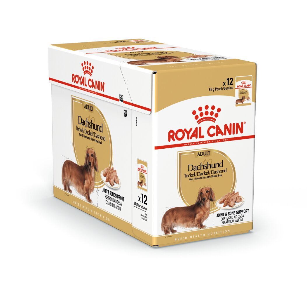 Royal Canin Dachshund Adult märgtoit koertele, 12x85g hind ja info | Konservid koertele | kaup24.ee