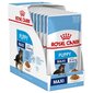 Royal Canin Maxi Puppy konserv kutsikatele, 10x140 g цена и информация | Konservid koertele | kaup24.ee