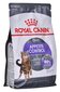 Royal Canin Appetite Control kuivtoit kassidele, 0,4 kg hind ja info | Kuivtoit kassidele | kaup24.ee