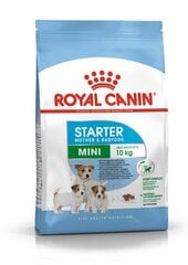 Сухой корм Royal Canin Mini Starter для щенков, 8 кг цена и информация |  Сухой корм для собак | kaup24.ee