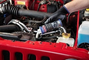 Liqui Moly P000195 Moly 5178 Pro-Line Cooler Poet K 250 мл цена и информация | Очищающие и охлаждающие жидкости | kaup24.ee