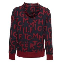 Мужской джемпер Tommy Hilfiger 8720115364201, Синий цена и информация | Мужские толстовки | kaup24.ee