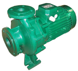 Pump Saer IR40-20/A цена и информация | Насосы для чистой воды | kaup24.ee