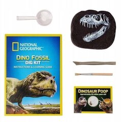 Набор для раскопок ископаемых динозавров National Geographic цена и информация | Развивающий мелкую моторику - кинетический песок KeyCraft NV215 (80 г) детям от 3+ лет, бежевый | kaup24.ee