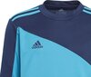 Väravavahi dressipluus Adidas Squadra 21 Youth Jr GN6947, sinine цена и информация | Jalgpalli varustus ja riided | kaup24.ee