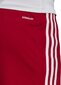 Lühikesed püksid Adidas Squadra 21, punane hind ja info | Jalgpalli varustus ja riided | kaup24.ee