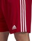 Lühikesed püksid Adidas Squadra 21, punane цена и информация | Jalgpalli varustus ja riided | kaup24.ee