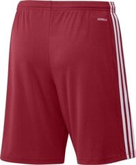 Lühikesed püksid Adidas Squadra 21, punane цена и информация | Футбольная форма и другие товары | kaup24.ee