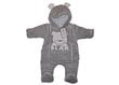 Soojendusega kombinesoon Bear Grey hind ja info | Beebi kombinesoonid | kaup24.ee