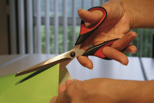 Универсальные ножницы Bessey D821-180 цена и информация | Механические инструменты | kaup24.ee