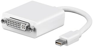 Goobay Mini DisplayPort Thunderbolt/DVI-D цена и информация | Адаптеры и USB-hub | kaup24.ee