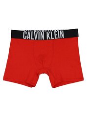 Poiste aluspüksid Calvin Klein Brief Red 2Pck 520882703 цена и информация | Нижнее белье для мальчиков | kaup24.ee