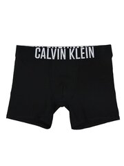 Poiste aluspüksid Calvin Klein Brief Red 2Pck 520882703 цена и информация | Нижнее белье для мальчиков | kaup24.ee