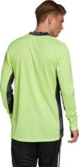 Väravavahi dressipluus Adidas AdiPro 20 GK M FI4192, roheline цена и информация | Футбольная форма и другие товары | kaup24.ee