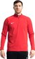 Dressipluus Nike Dry Academy 18, punane цена и информация | Jalgpalli varustus ja riided | kaup24.ee