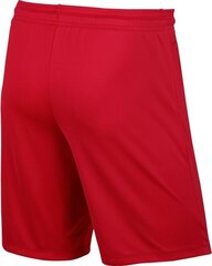Lühikesed püksid Nike Park II, punane hind ja info | Jalgpalli varustus ja riided | kaup24.ee