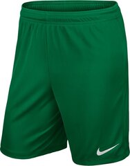 Lühikesed püksid Nike Park II, roheline hind ja info | Jalgpalli varustus ja riided | kaup24.ee