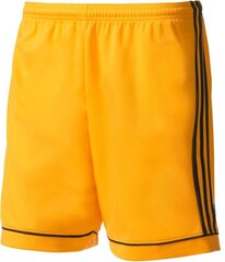 Lühikesed püksid Adidas Squadra 17, kollane hind ja info | Jalgpalli varustus ja riided | kaup24.ee