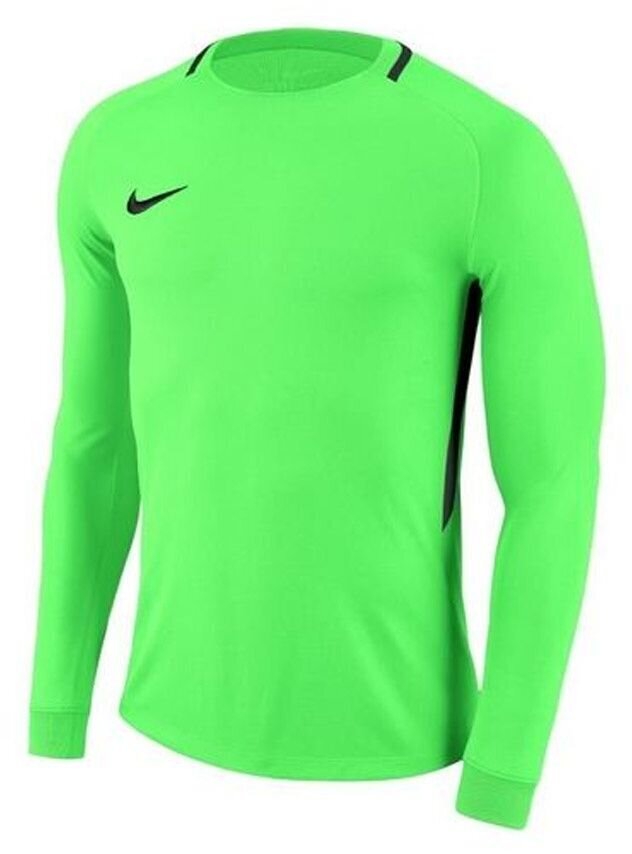 Väravavahi dressipluus Nike Dry Park III LS M 894509-398, roheline hind ja info | Jalgpalli varustus ja riided | kaup24.ee
