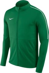 Мужской спортивный джемпер Nike, AA2059 302, зеленый цена и информация | Мужская спортивная одежда | kaup24.ee